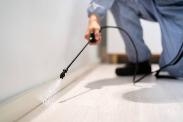 Certified termite inspector examining foundation in Loma Linda